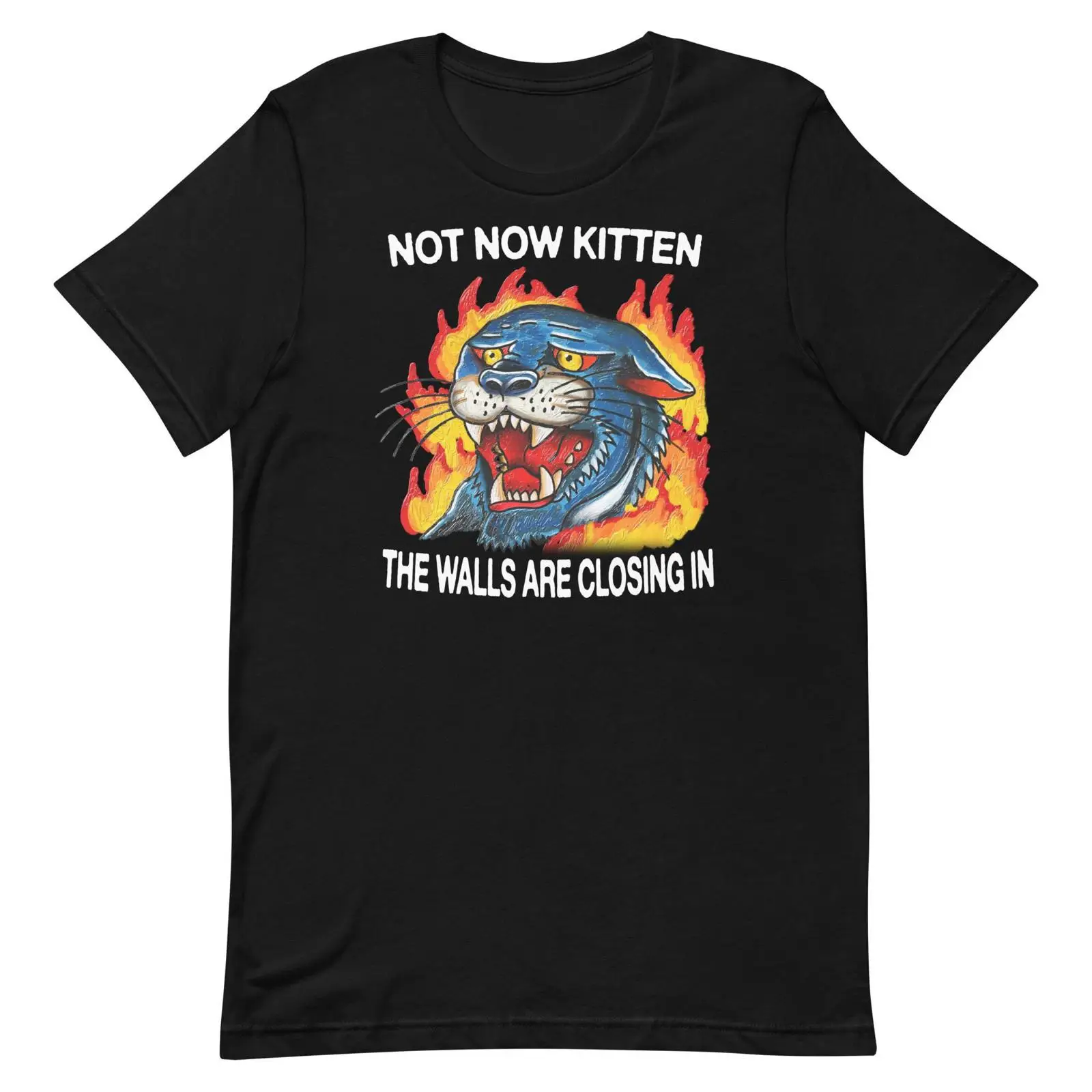 Not Now Kitten t-shirt vintage - Vintage Fashion Now recensie en prijs